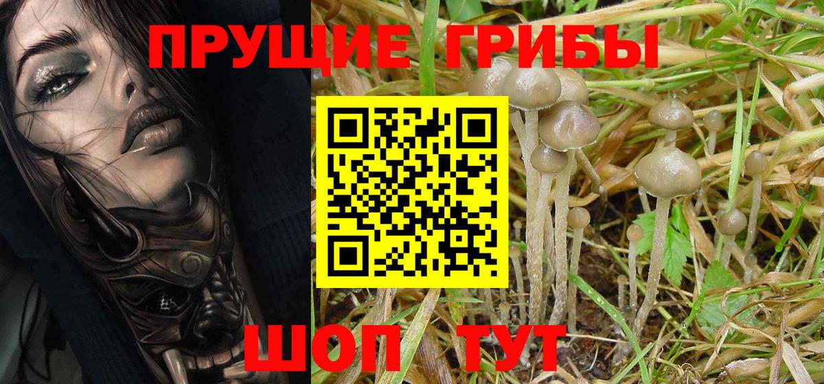 Назарово  Псилоцибиновые грибы Psilocybe  Вход с VPN  Галлюциногенные грибы MAGIC MUSHROOMS 
